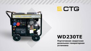 WD230TЕ  — Портативная сварочная дизельная генераторная установка
