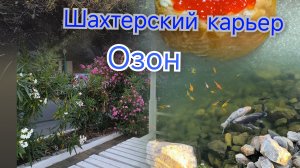 Влог Прогулка на карьер