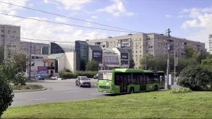 Придорожный цветок... Видео Виктор Поживин