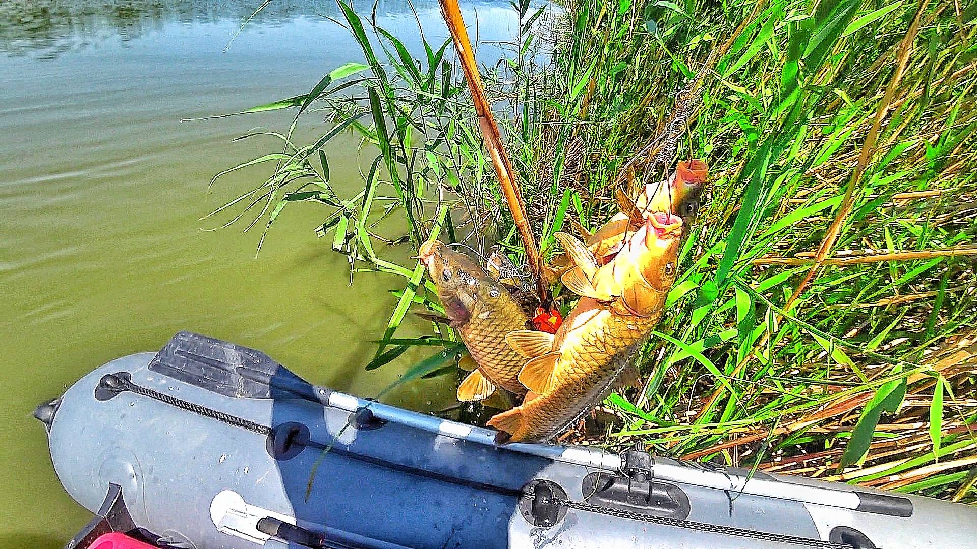 ТЯНУТ КАК ПАРОВОЗЫ!!! НА РЖАВЫЙ КРЮК!!! НАШЕЛ СНАСТЬ И НАЛОВИЛ РЫБЫ! смотреть онлайн