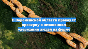В Воронежской области проводят проверку о незаконном удержании людей на ферме