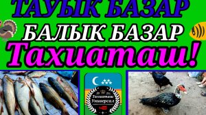 19-08-2025 ПТИЧИЙ РЫНОК 🐓 РЫНОК РЫБ.