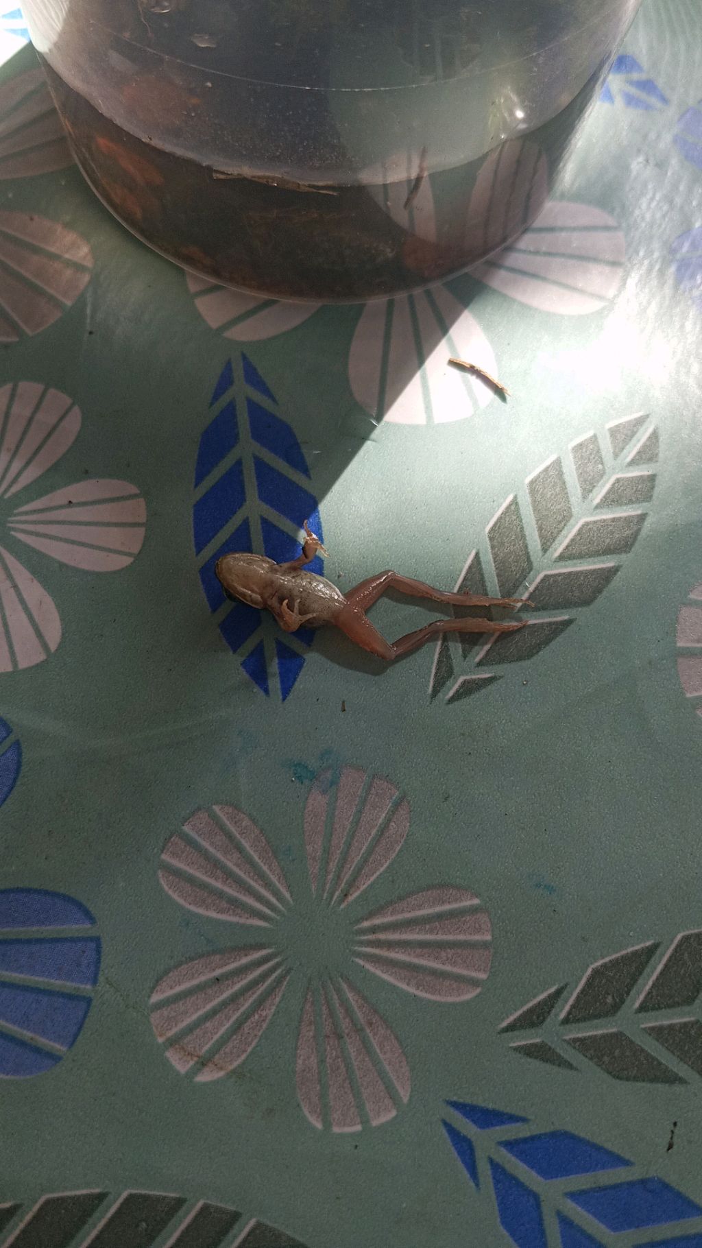 оружия смотреть онлайн