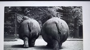 Рыма чек — ее неопрятная Крошка🤣🤣