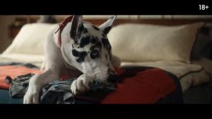 Верный друг | Русский трейлер | Фильм 2025