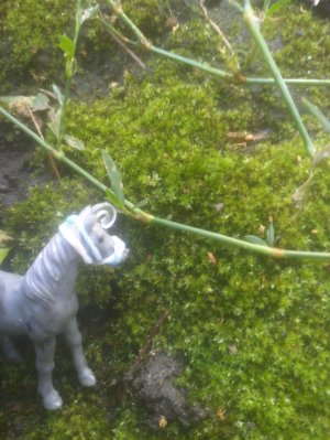 Ребята заходите на трансляцию