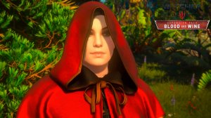 Ведьмак 3 - улучшенное издание на RTX 5080 в 2К. Часть 94