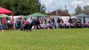 8 Отл. ПАНДОРА из Белого Яра +++ №349. Главная выставка немецких овчарок России 2025