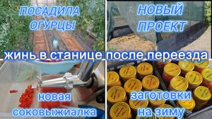 ЖИЗНЬ В СТАНИЦЕ ПОСЛЕ ПЕРЕЕЗДА, ЧИЩУ МЕСТО ПОД НОВЫЙ ПРОЕКТ, КУПИЛА СОКОВЫЖИМАЛКУ ЗА 350 РУБЛЕЙ