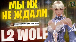 А ты готов к вводу Коллекции? Lineage 2 Project WOLF/EVA