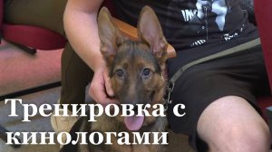Мариупольские кинологи посетили Северодонецк