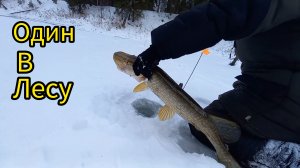 РЫБАЛКА НА КОСЫНКИ И ЖЕРЛИЦЫ. ТЯГУЛ МЕЛОЧЬ , А ОНО ВОТ КАК.