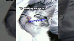 Ты мне нужен как: