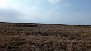 Исчезнувший поселок Непейцовский, Пугачёвский район (2).