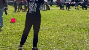 БЕБИ СУКИ / Главная выставка немецких овчарок России 2025