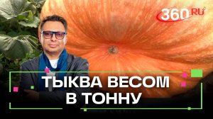Тыква, растущая в Подмосковье, идёт на новый рекорд