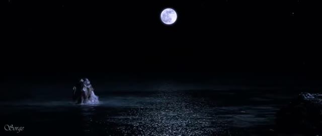 Лунная дорога ~ Николай Парфенюк