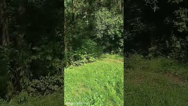 Жизнь похожа на серфингиста покоряющего волны