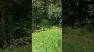 Жизнь похожа на серфингиста, покоряющего волны