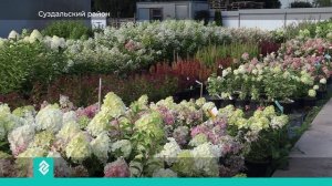 Деревни Владимирской области продолжают бороться за звание самой красивой