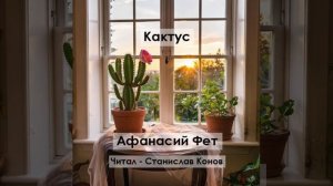 Фет А.А. - Кактус