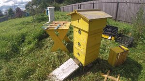 Деревня Соснино (установка ганемановских решеток в ульи)