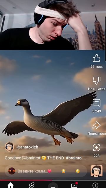 пока бренроты 😢 смотреть онлайн