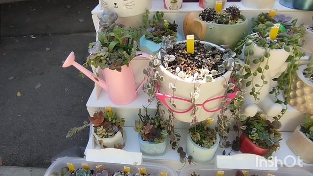 Выставка цветов в Самаре.🌳🌼🌺✨Часть 5.