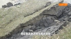 В результате речной  эрозии происходит обвал берега реки