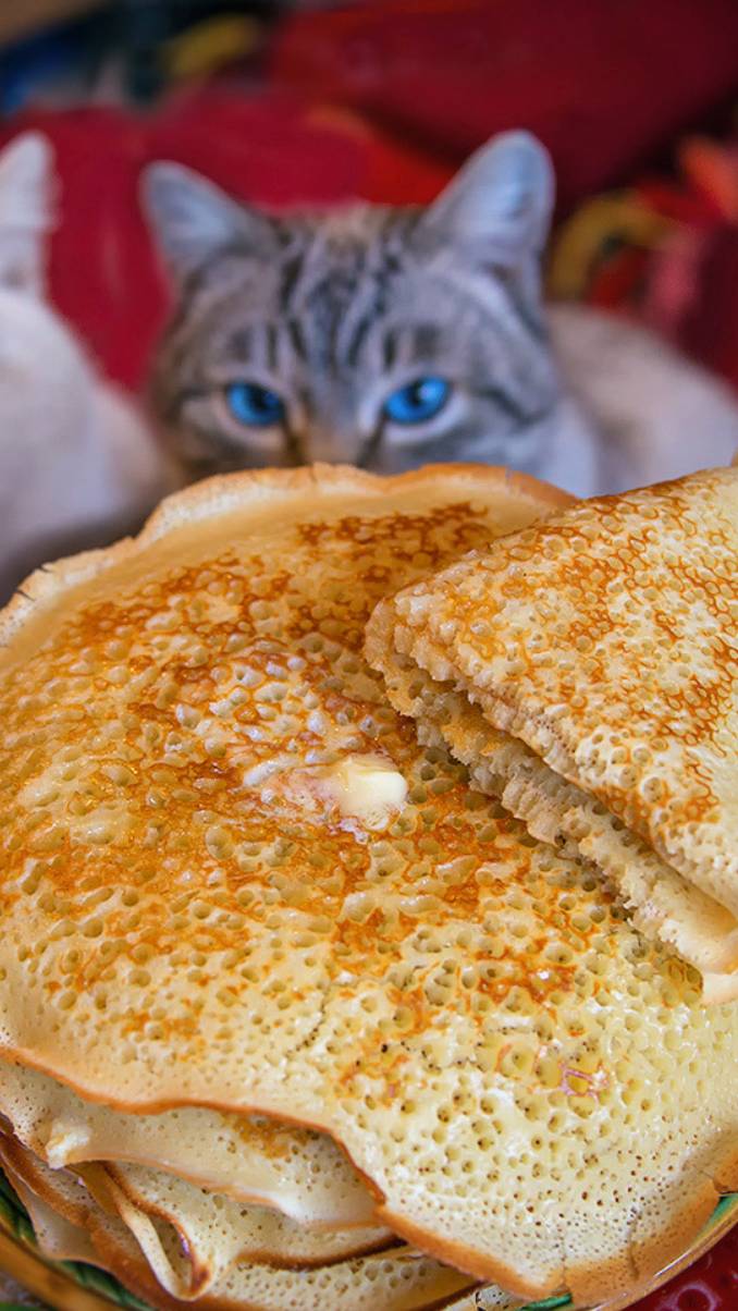 Shrovetide is not all for the cat