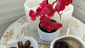 Когда от счастья поёт не только музыка, но и душа 🦋🦋🦋