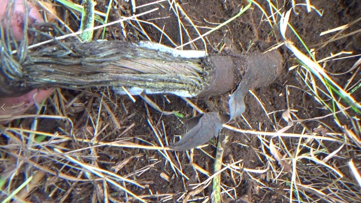 Коп 2024. Медное начало