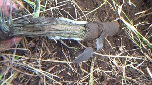 Коп 2024. Медное начало