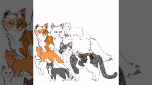 Коты воители Яролика и Быстролап🐾