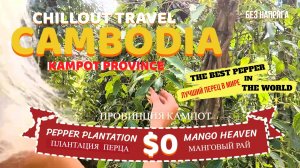 CHILLOUT TRAVEL CAMBODIA KAMPOT PROVINCE PEPPER PLANTATION MANGO HEAVEN