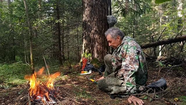 На дорогу вышел медведь и? смотреть онлайн
