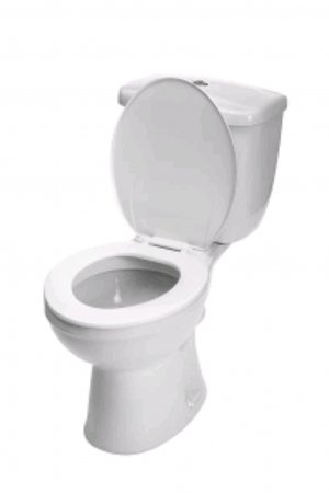 туалетный стрим🚽