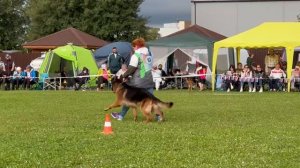 4 О/Отл. КЧК Ирендорф ЗУРБАГАН +++ №83. Главная выставка немецких овчарок России 2025