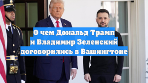 О чем Дональд Трамп и Владимир Зеленский договорились в Вашингтоне