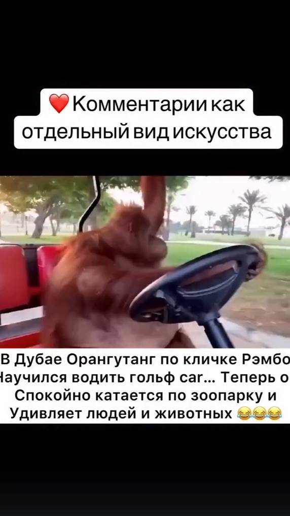 3672976526673265293 смотреть онлайн