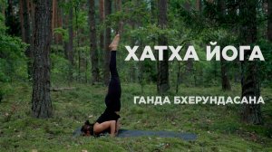ХАТХА ЙОГАЮ Стойка на подбородке. Гандха Бхерундасана (Поза грозной птицы). Средний уровень. 47 мин