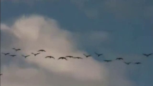 скоро осень...