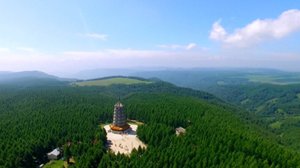 🌳В китайской провинции Хэбэй высадили крупнейший искусственный лес на планете