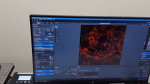 Вещества для микроскопирования на лазерном конфокальном микроскопе 20.09.2021