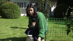 Скользкие вредители