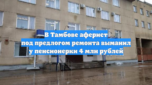 В Тамбове аферист под предлогом ремонта выманил у пенсионерки 4 млн рублей