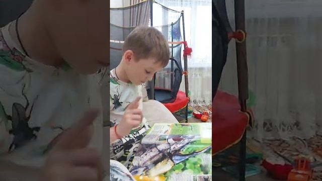 насекомые и наука
