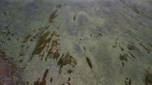 Тизер фильма «Заповедник Вишерский»