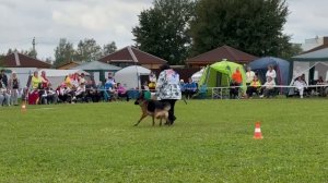 12 Отл. FURST FRONAN Lichtenstein-Ost +++ №79. Главная выставка немецких овчарок России 2025