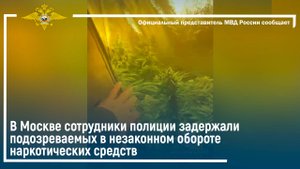 В Москве сотрудники полиции задержали подозреваемых в незаконном обороте наркотических средств